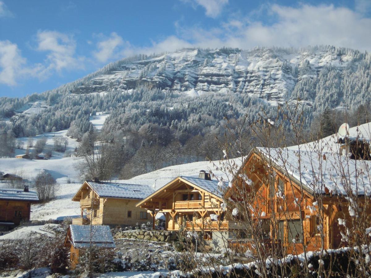 A4 Km De Megeve Tres Joli Studio Avec Jacuzzi ,Vue Sur Les Montagnes Au Calme Праз-Сур-Арлы Экстерьер фото